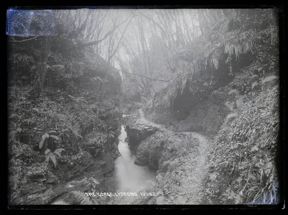 The Gorge, Lydford