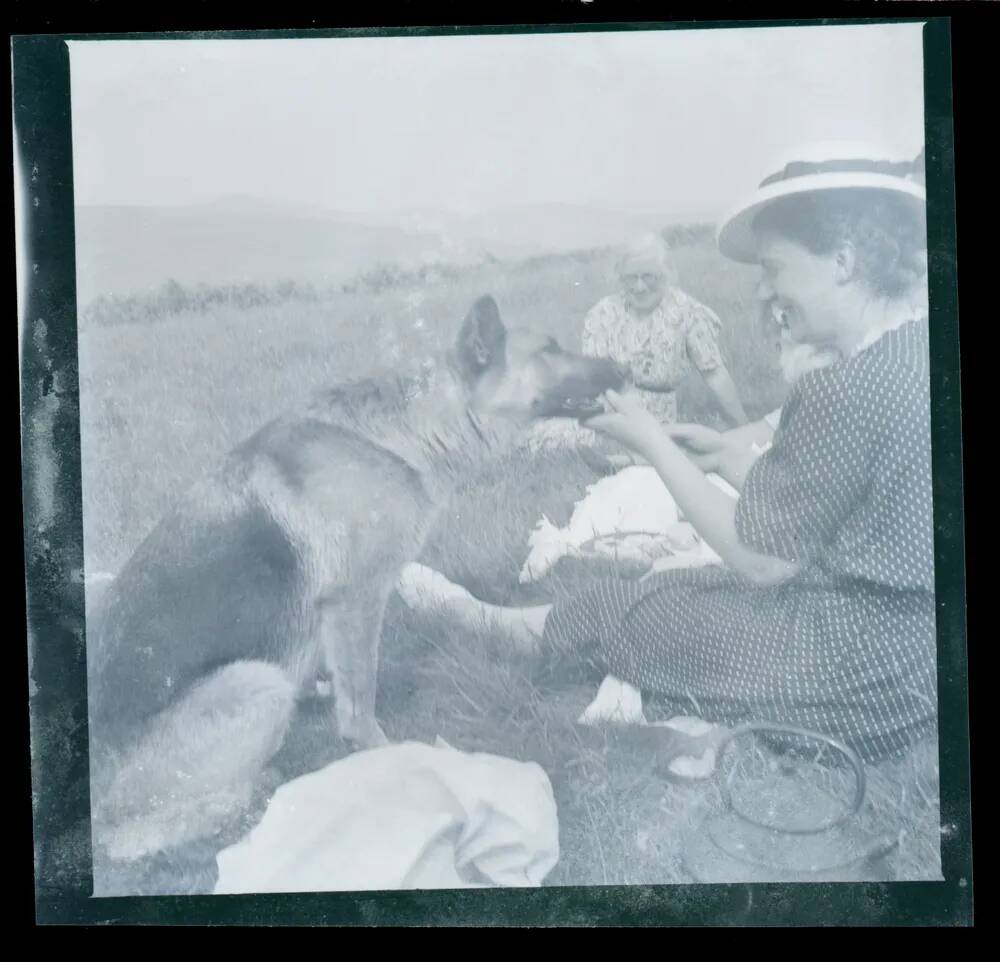 An image from the Dartmoor Trust Archive