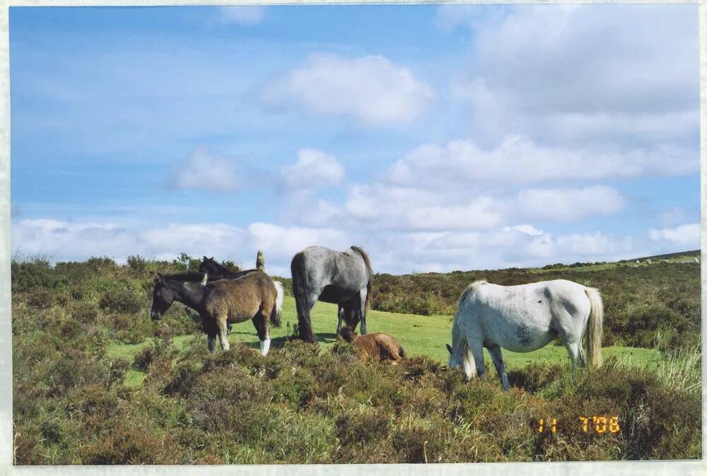 An image from the Dartmoor Trust Archive