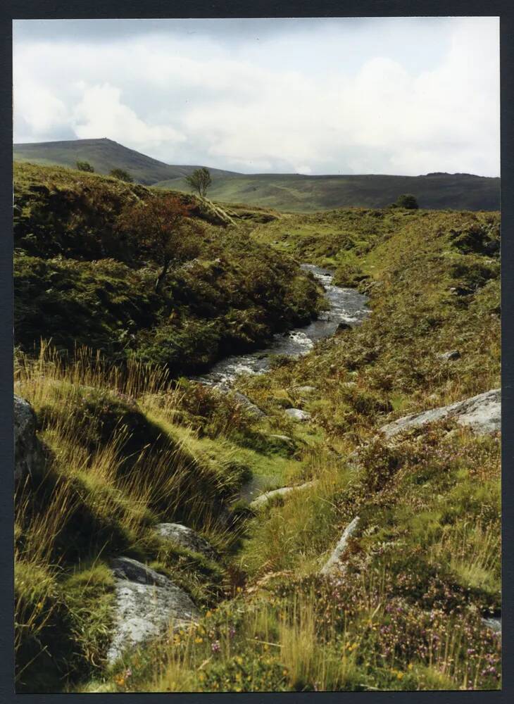 An image from the Dartmoor Trust Archive