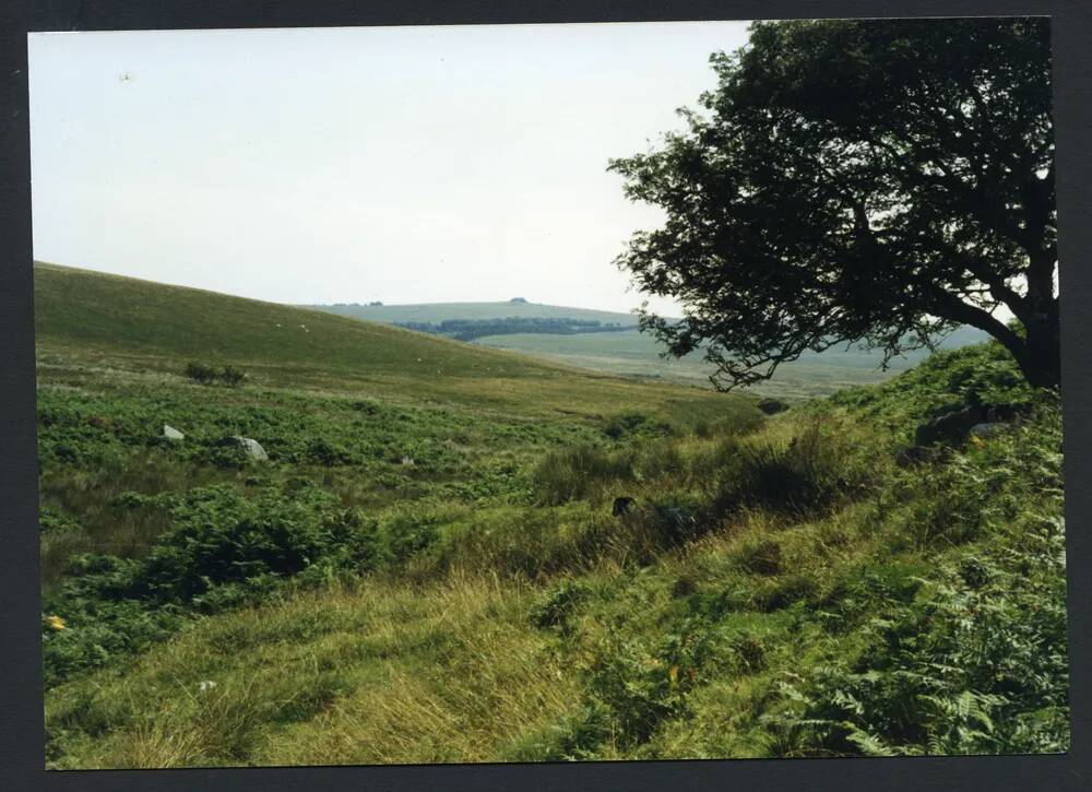 An image from the Dartmoor Trust Archive