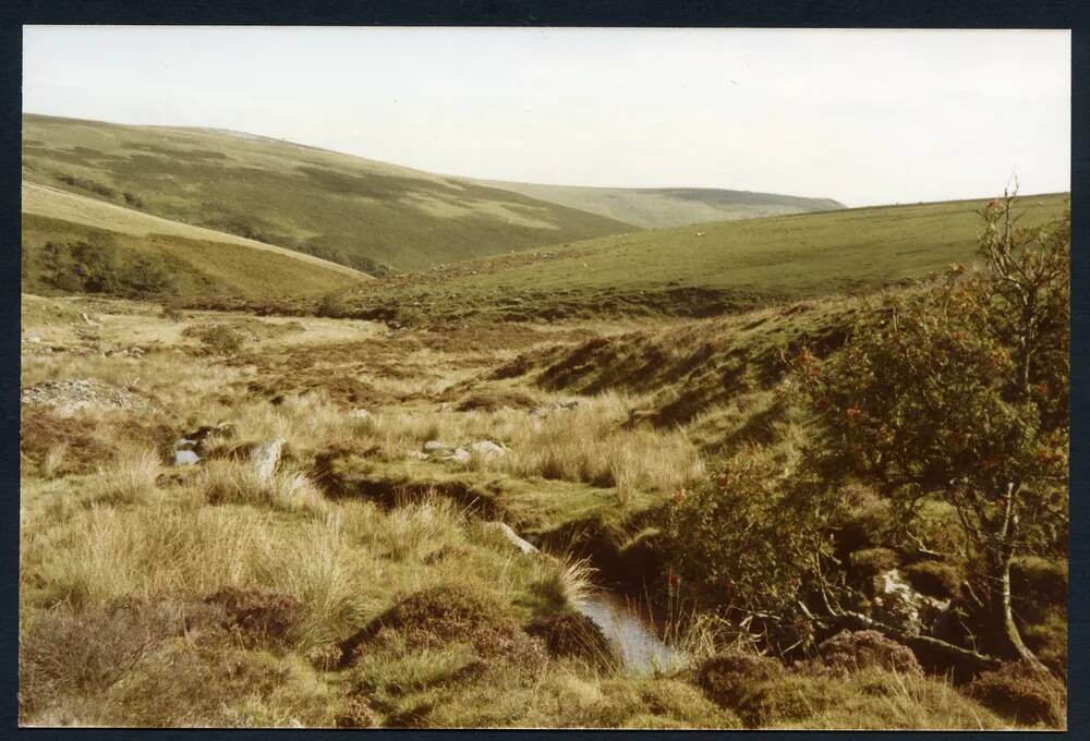 An image from the Dartmoor Trust Archive