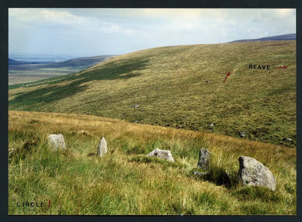 An image from the Dartmoor Trust Archive