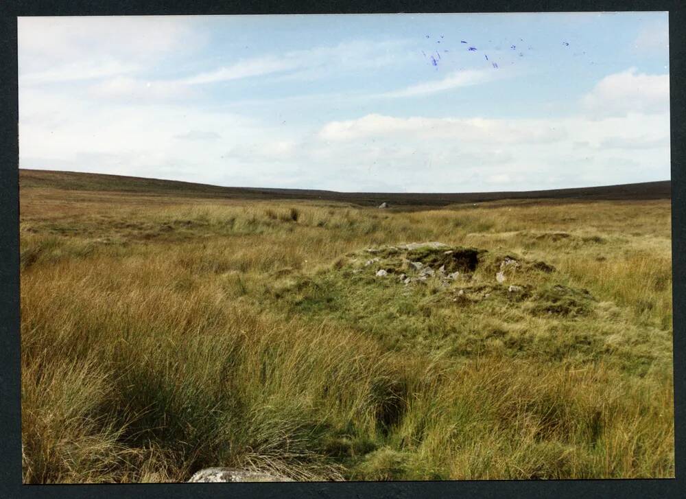 An image from the Dartmoor Trust Archive