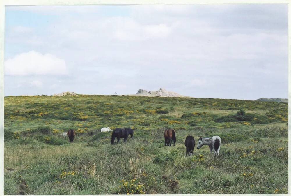 An image from the Dartmoor Trust Archive