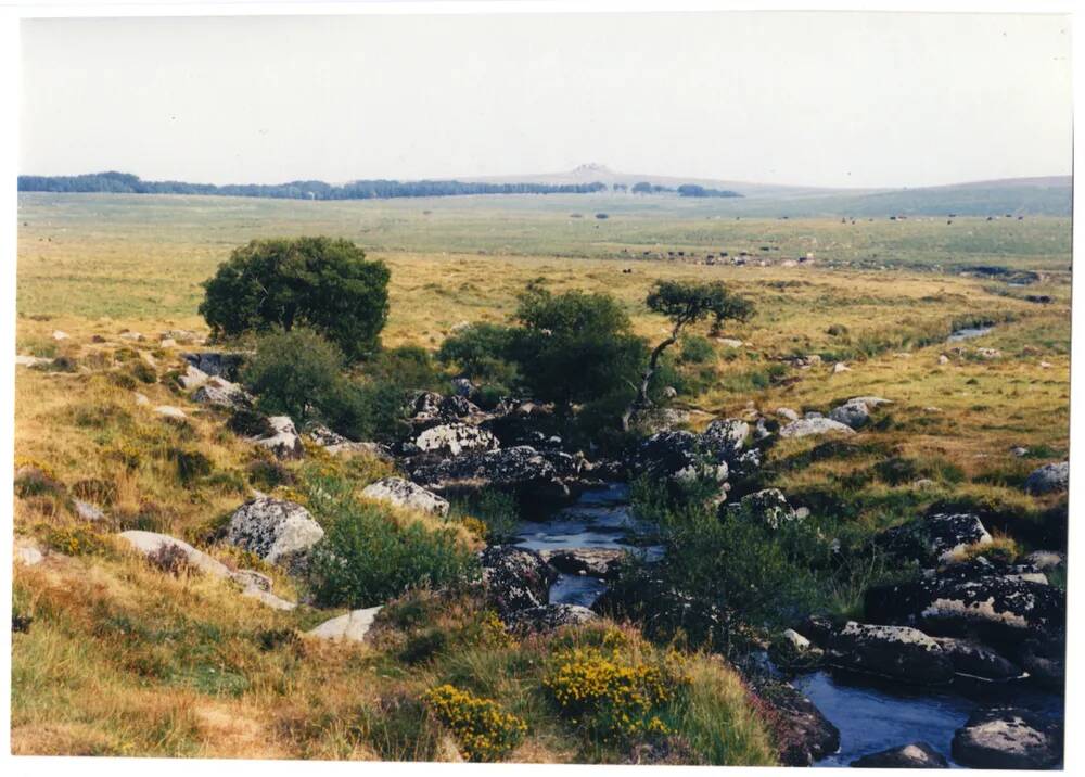 An image from the Dartmoor Trust Archive