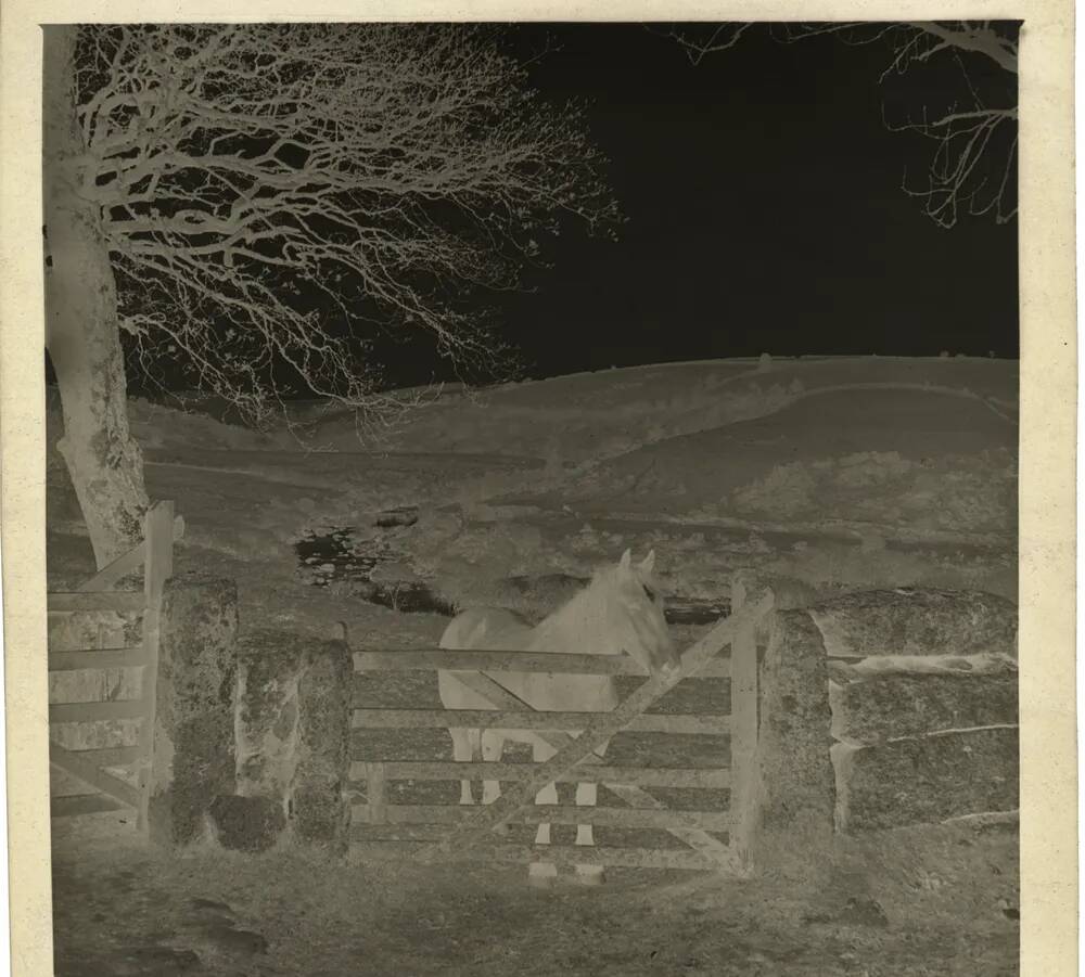 An image from the Dartmoor Trust Archive