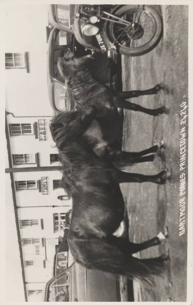 An image from the Dartmoor Trust Archive