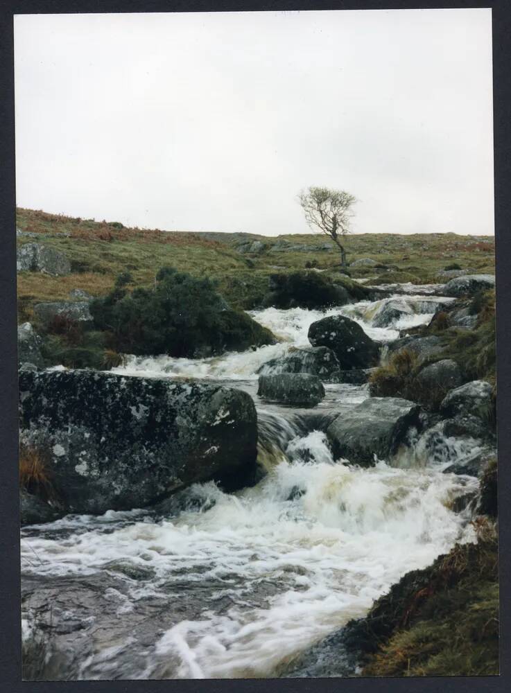 An image from the Dartmoor Trust Archive