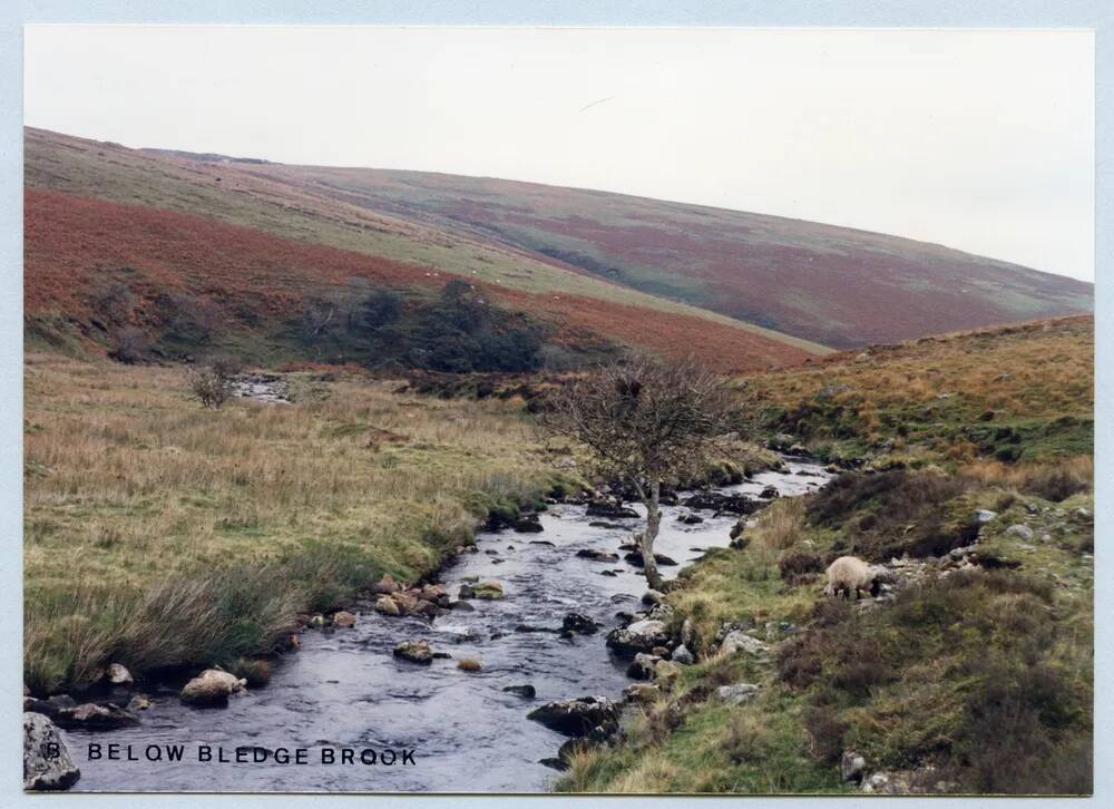 An image from the Dartmoor Trust Archive