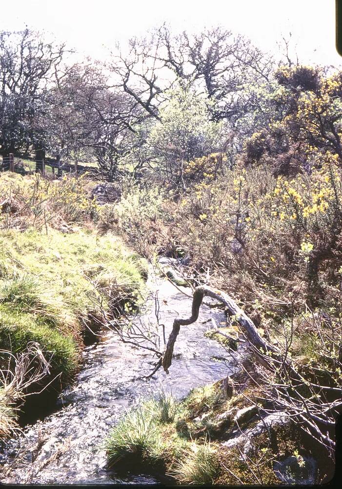 An image from the Dartmoor Trust Archive