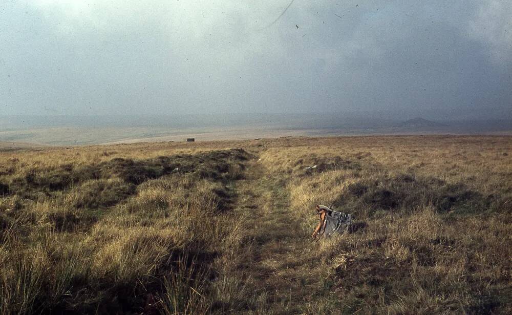 An image from the Dartmoor Trust Archive