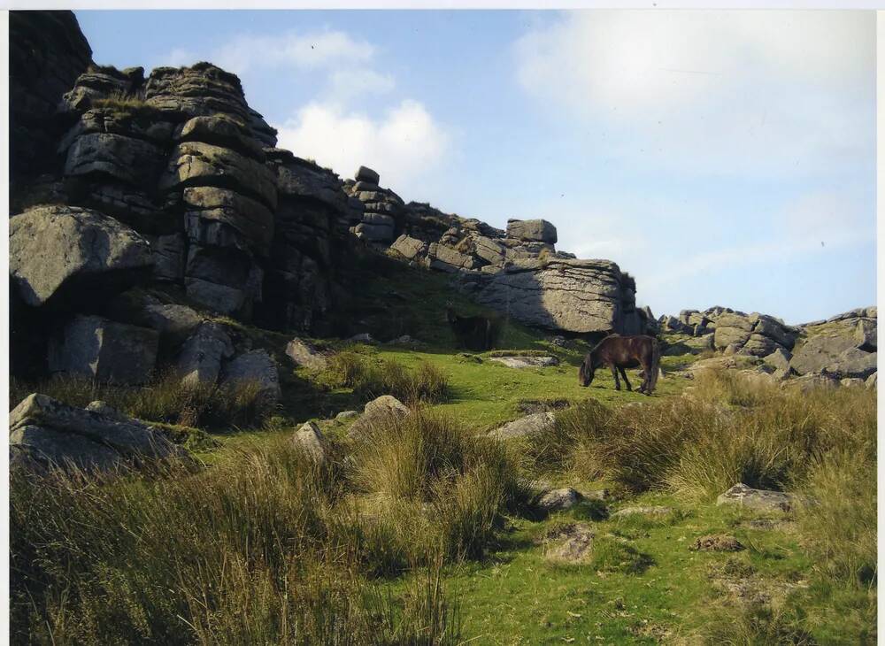 An image from the Dartmoor Trust Archive