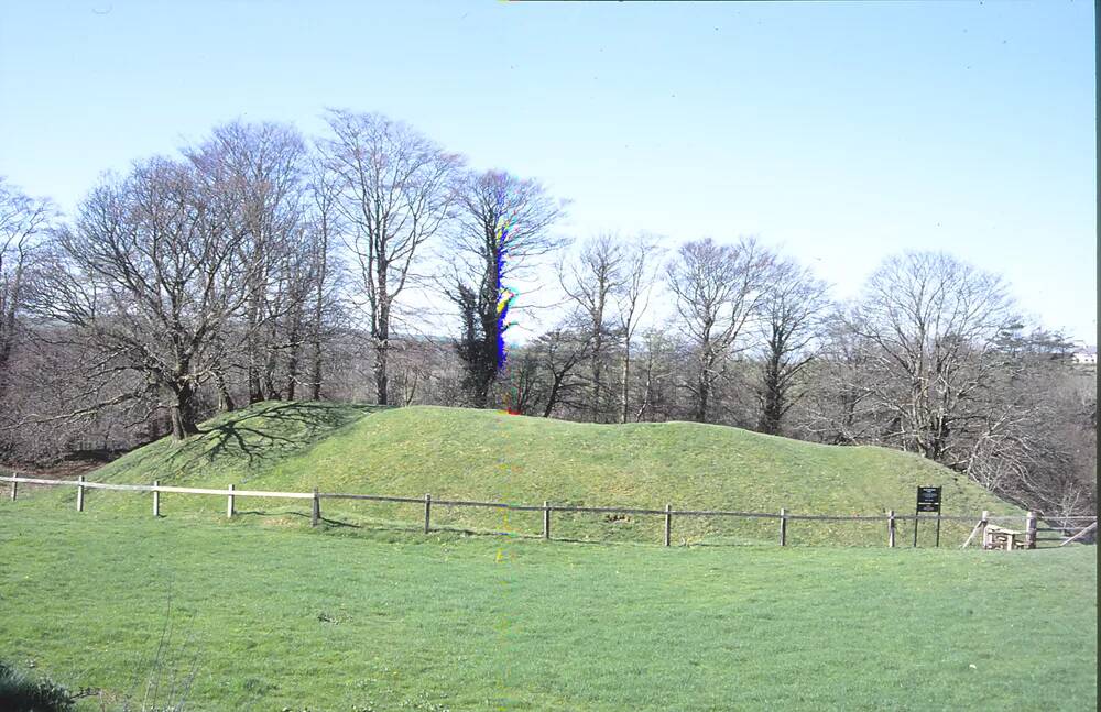 Early Norman Fort