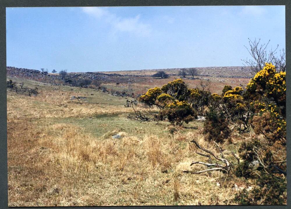 An image from the Dartmoor Trust Archive