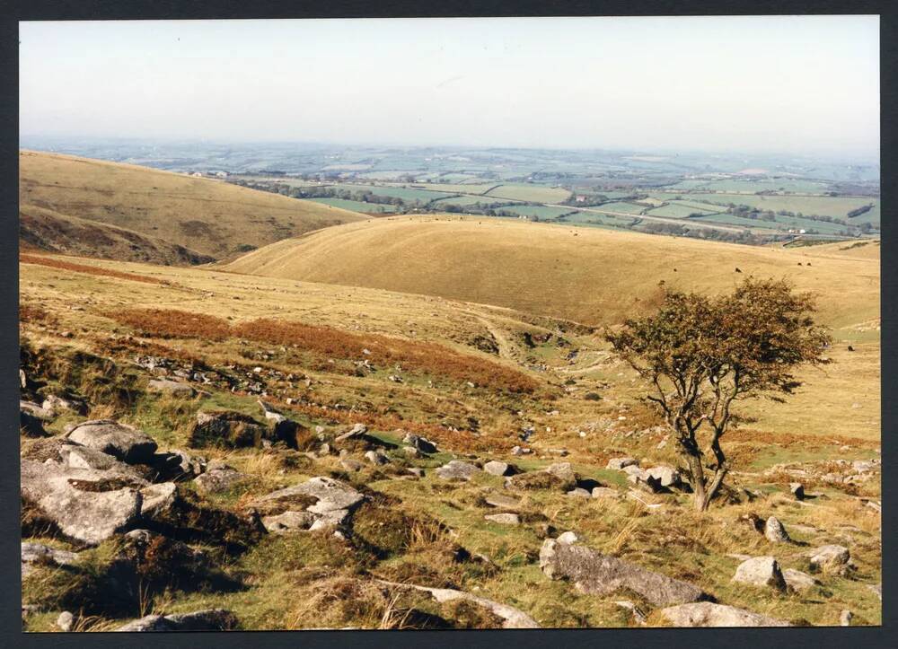 An image from the Dartmoor Trust Archive