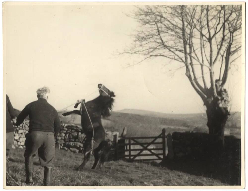 An image from the Dartmoor Trust Archive