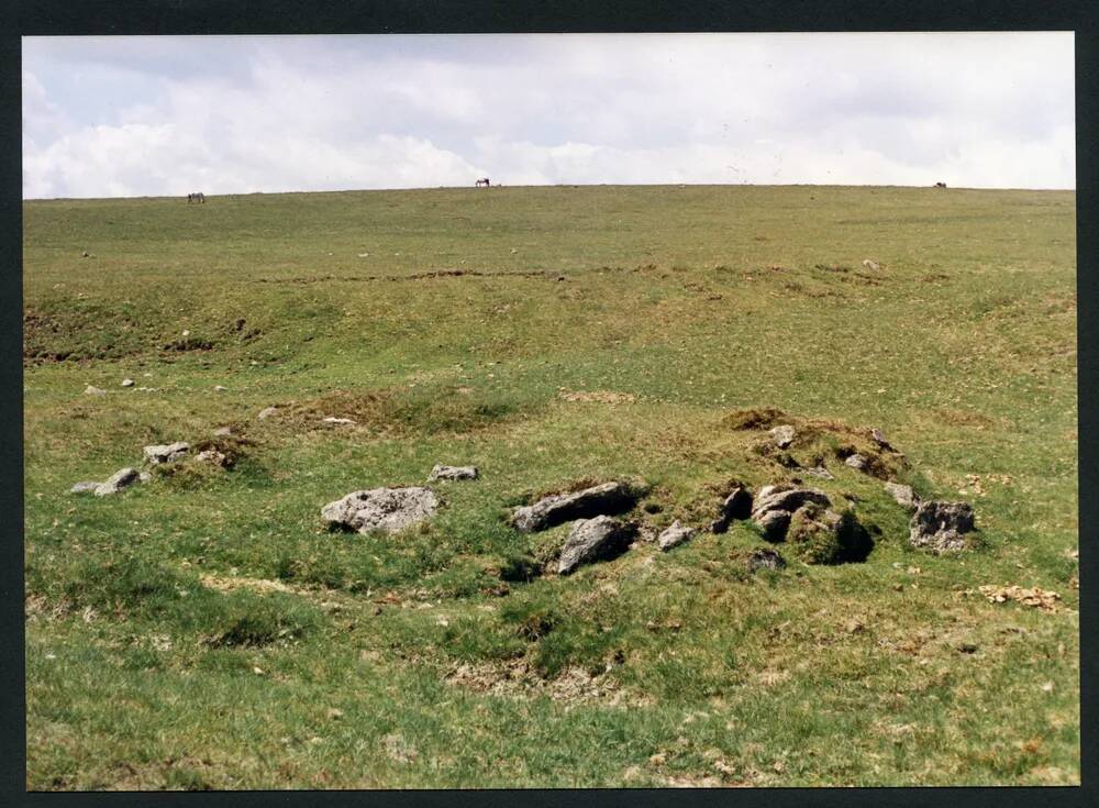 An image from the Dartmoor Trust Archive