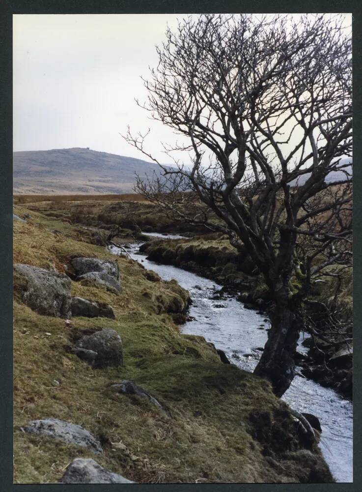 An image from the Dartmoor Trust Archive