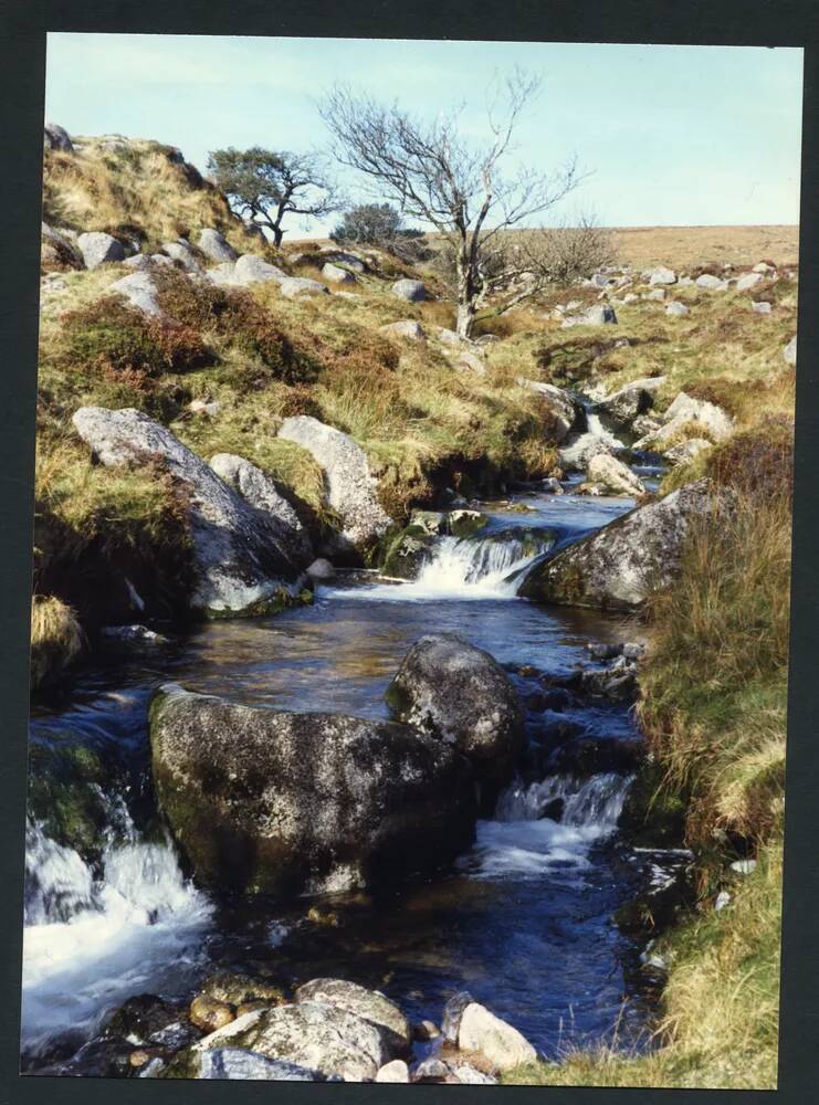 An image from the Dartmoor Trust Archive