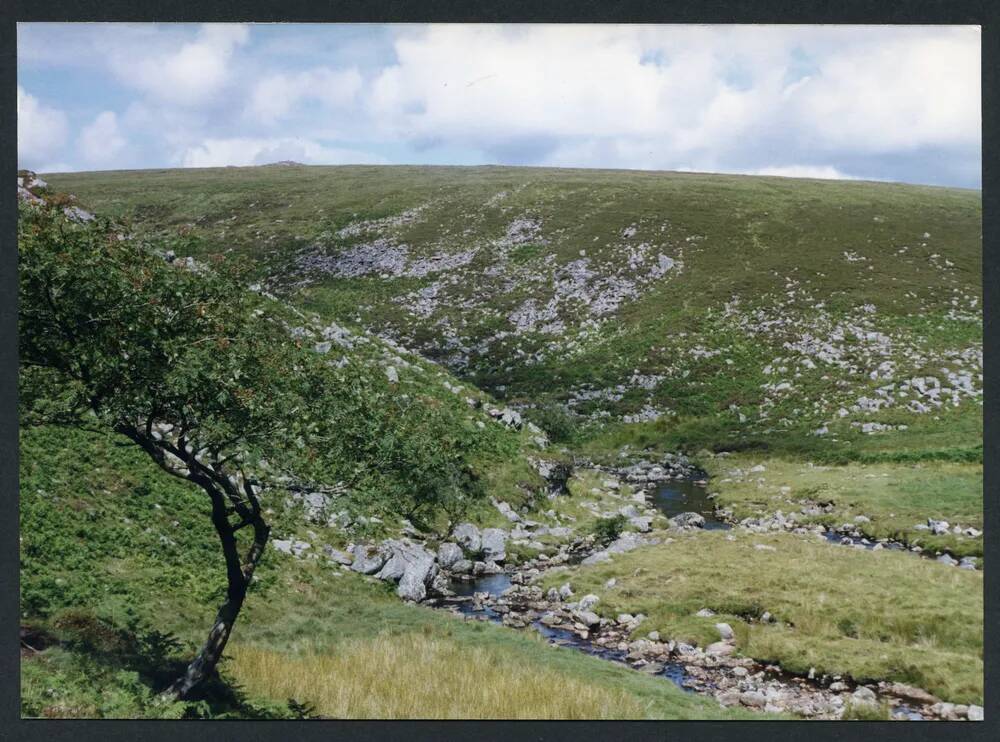 An image from the Dartmoor Trust Archive