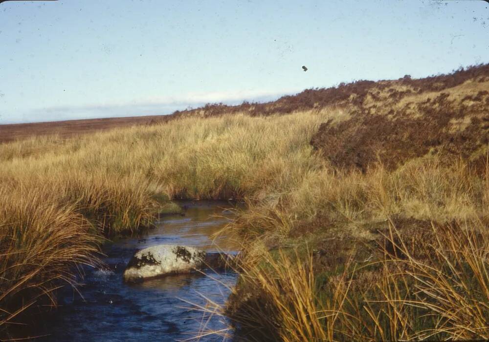 An image from the Dartmoor Trust Archive