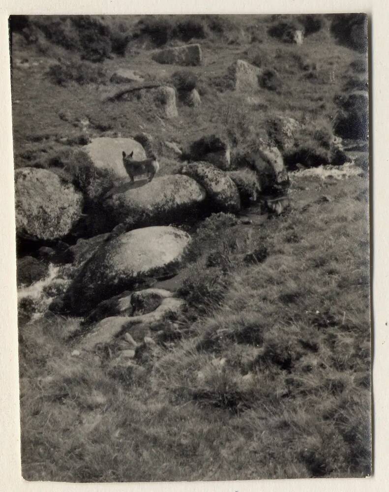 River Taw, at Metheral Hole