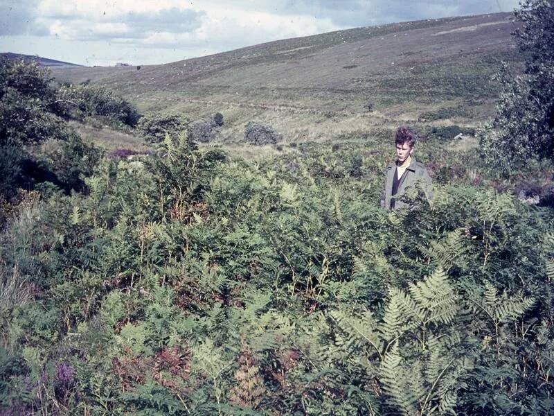 An image from the Dartmoor Trust Archive