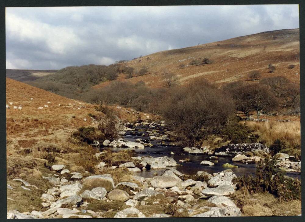 An image from the Dartmoor Trust Archive