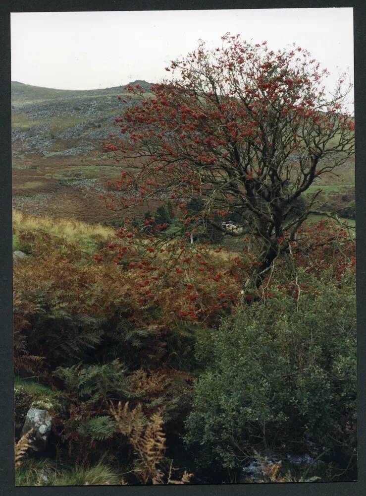 An image from the Dartmoor Trust Archive