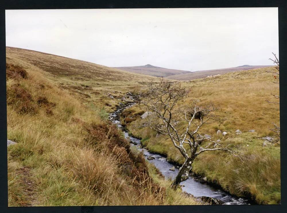 An image from the Dartmoor Trust Archive