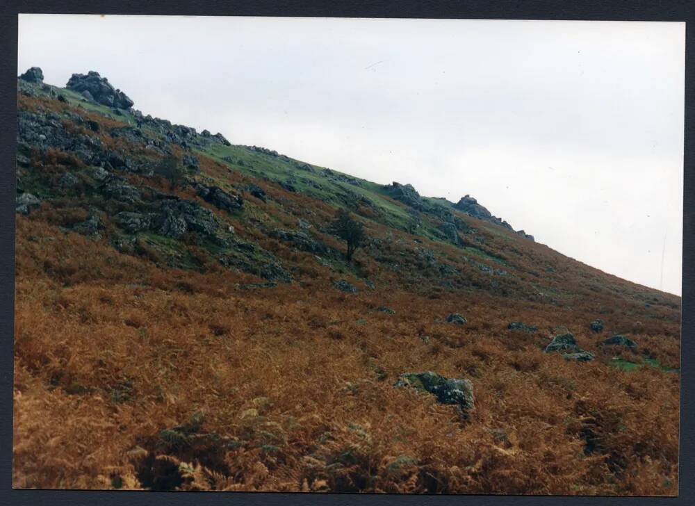 An image from the Dartmoor Trust Archive