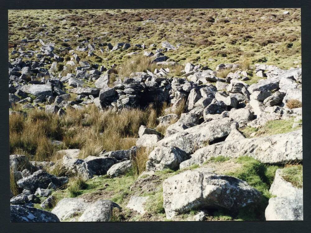 An image from the Dartmoor Trust Archive