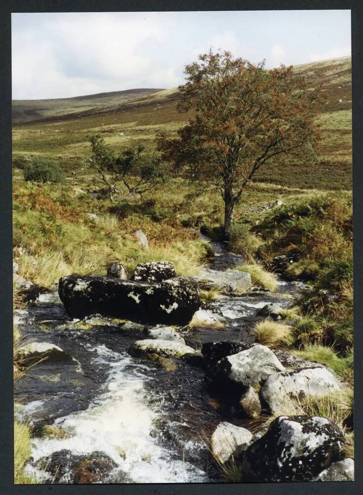 An image from the Dartmoor Trust Archive