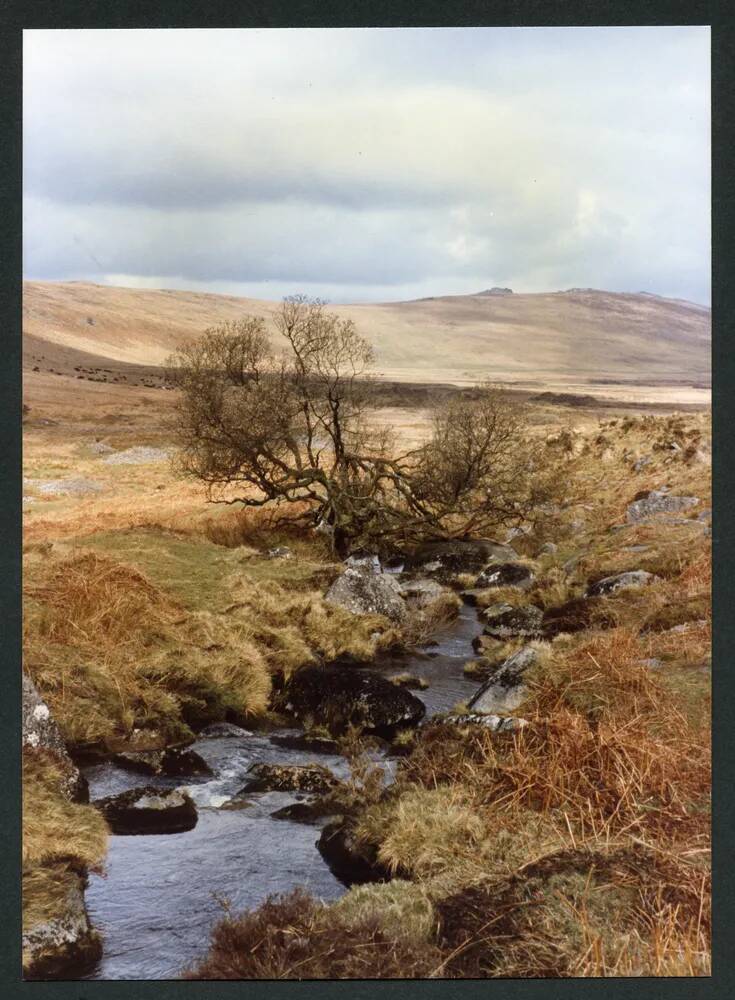 An image from the Dartmoor Trust Archive