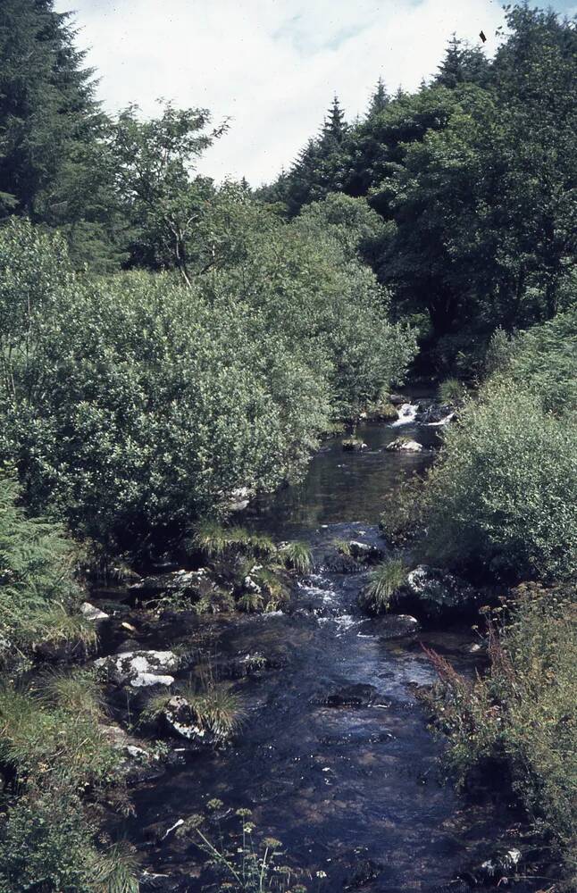 An image from the Dartmoor Trust Archive