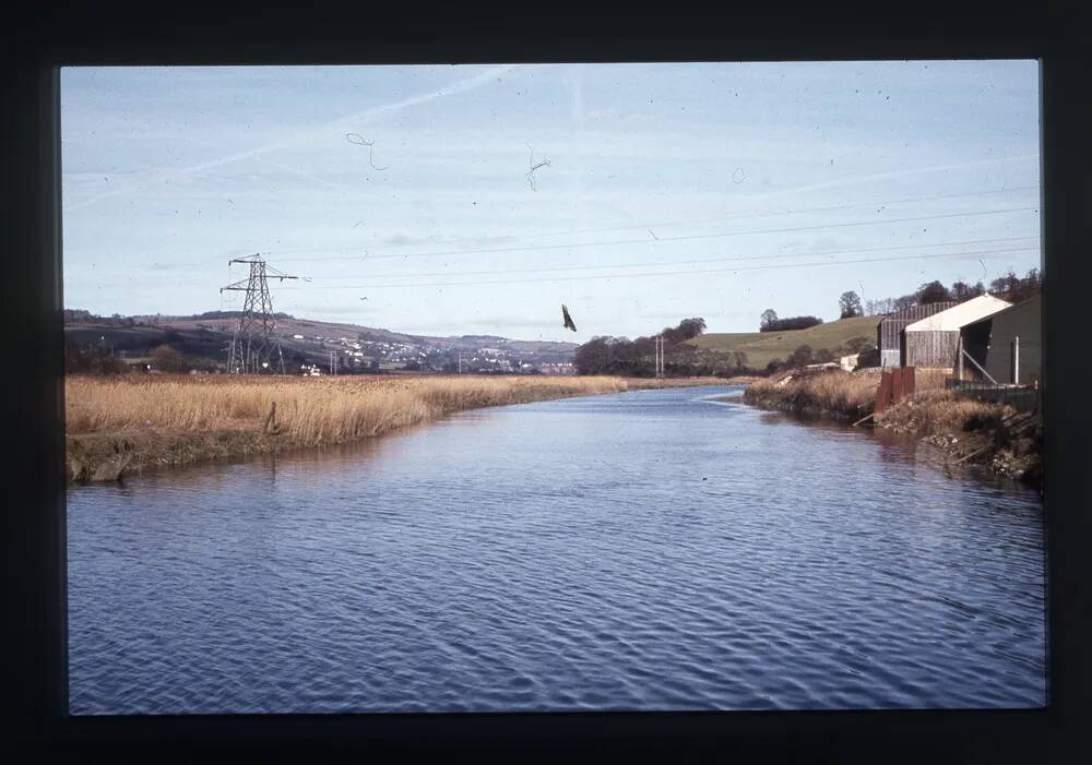 Teign estuary