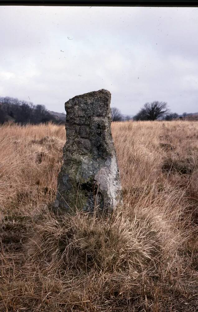 An image from the Dartmoor Trust Archive