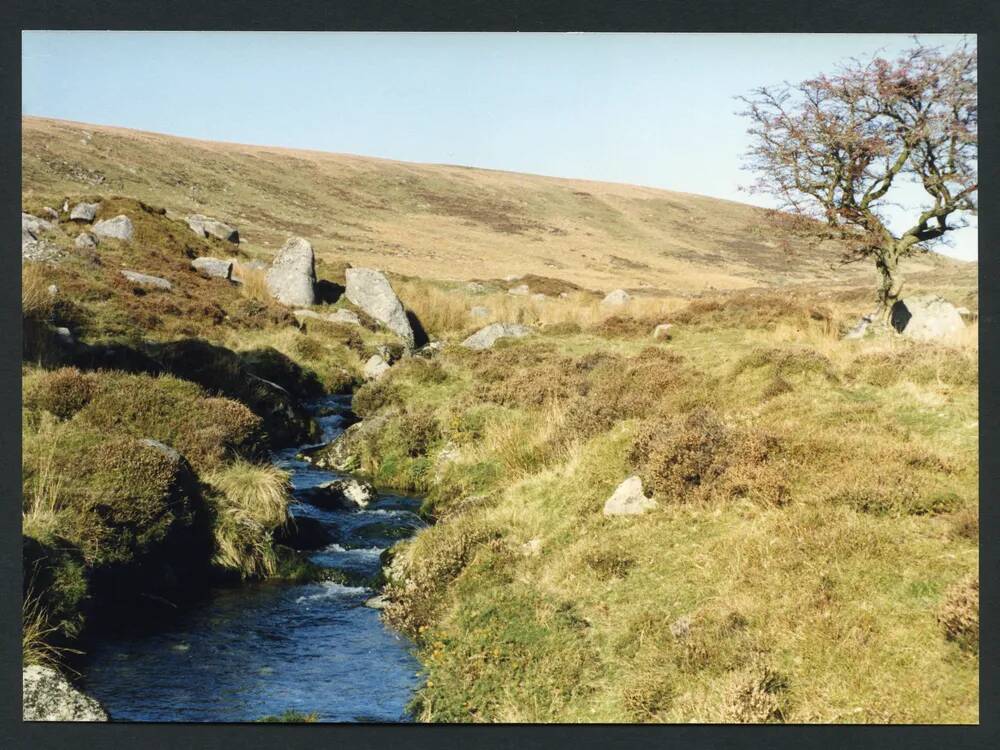 An image from the Dartmoor Trust Archive