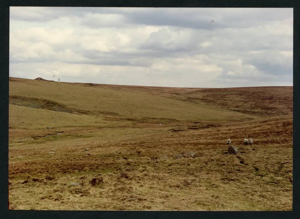 An image from the Dartmoor Trust Archive