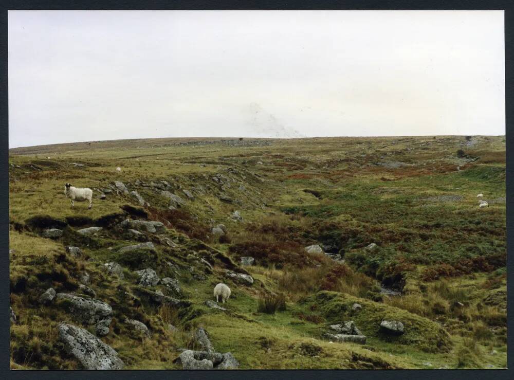 An image from the Dartmoor Trust Archive