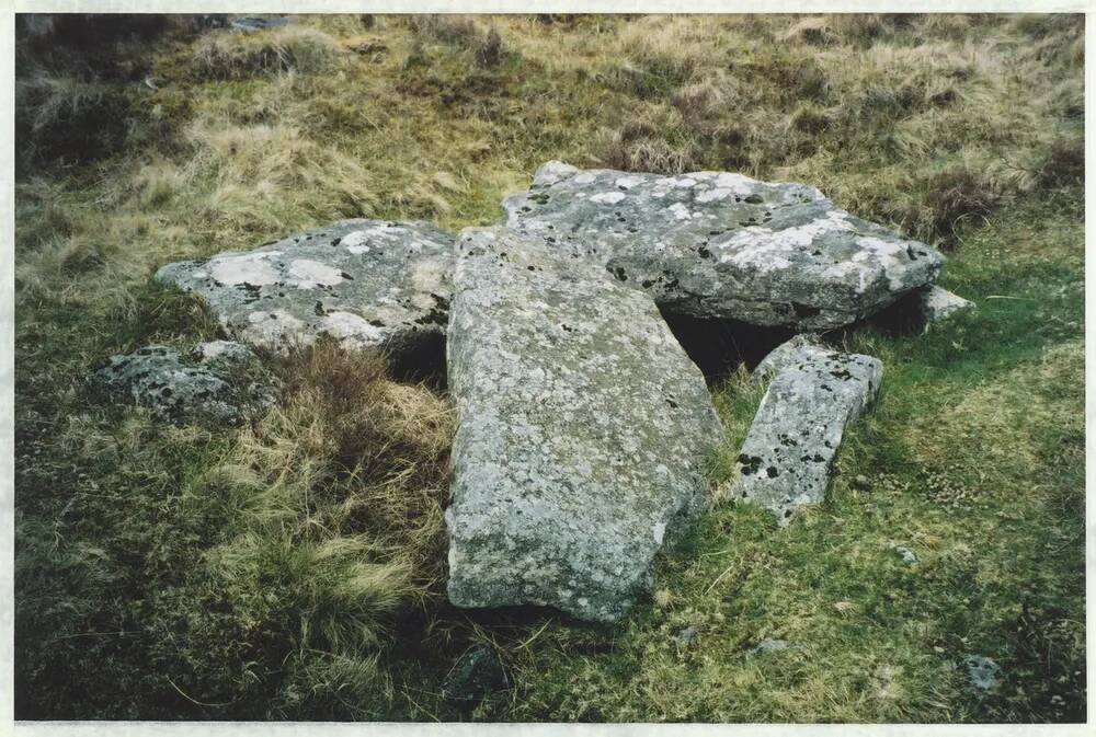 An image from the Dartmoor Trust Archive