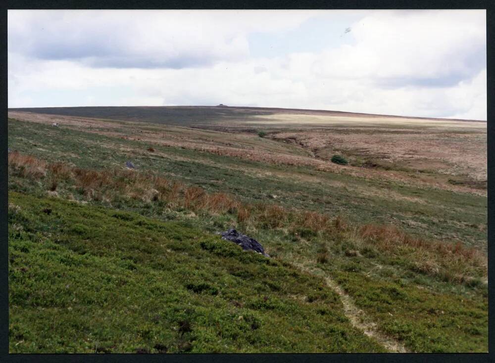 31/29 Bala Brook and E. Wittaburrow 22/5/1991