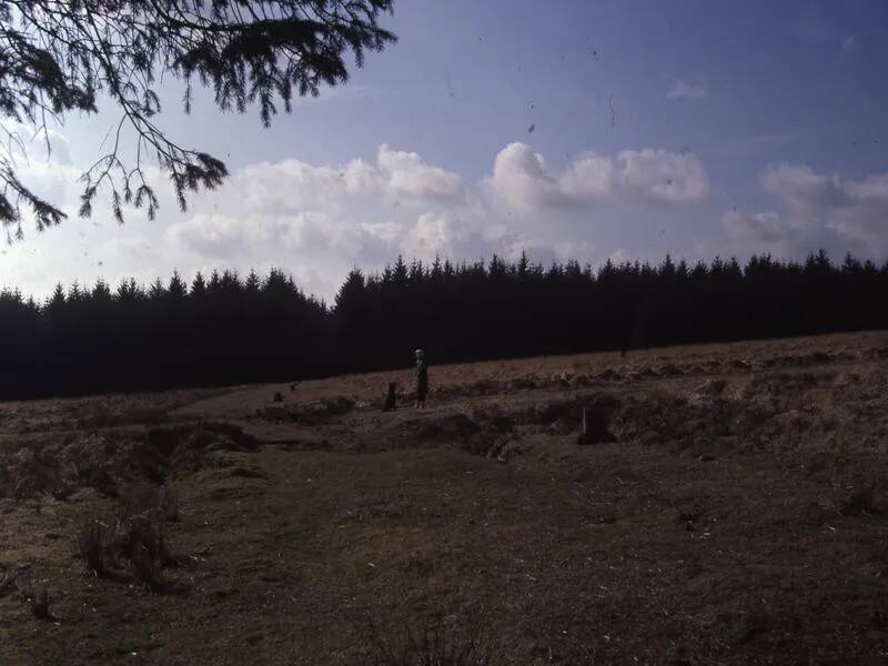 An image from the Dartmoor Trust Archive