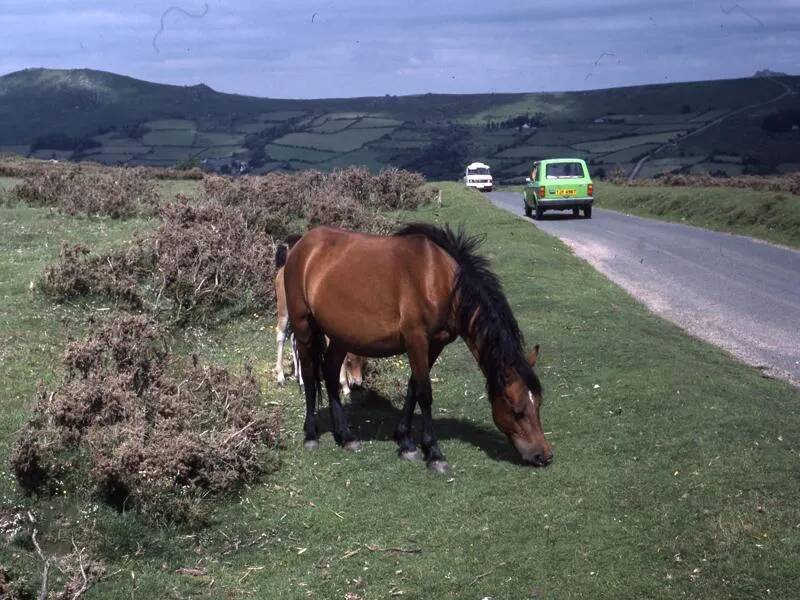 An image from the Dartmoor Trust Archive