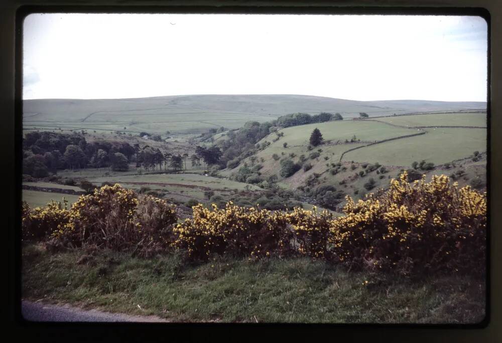 West Dart valley at Swincombe