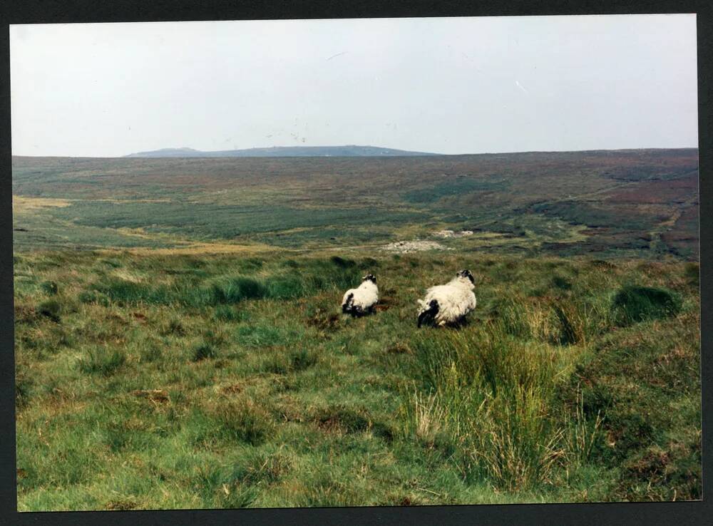 An image from the Dartmoor Trust Archive