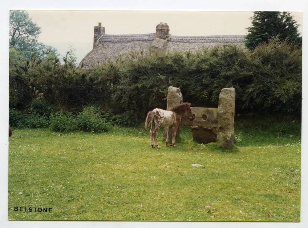 An image from the Dartmoor Trust Archive