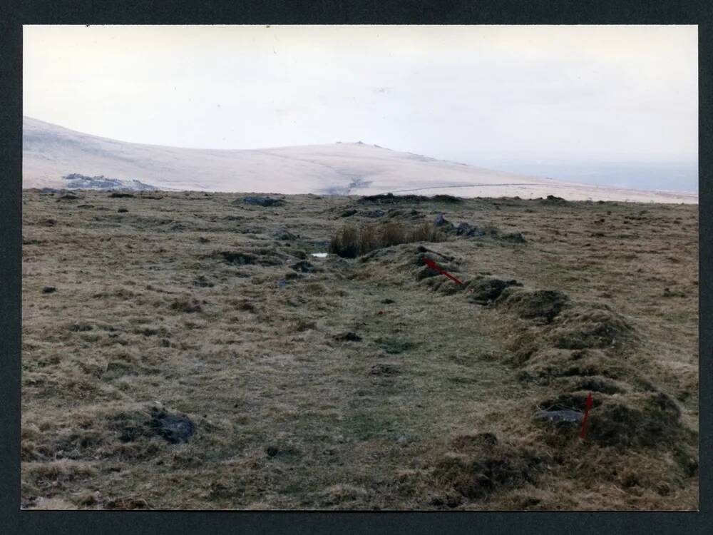 An image from the Dartmoor Trust Archive