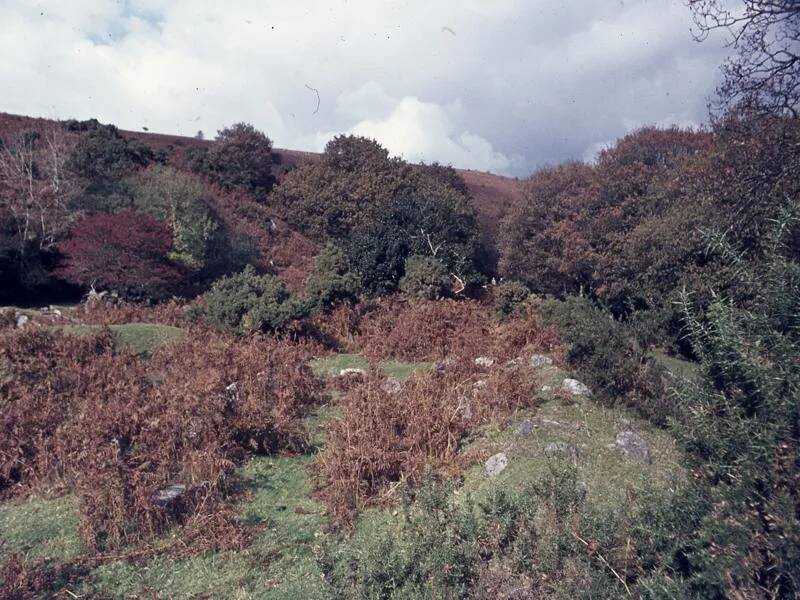 An image from the Dartmoor Trust Archive